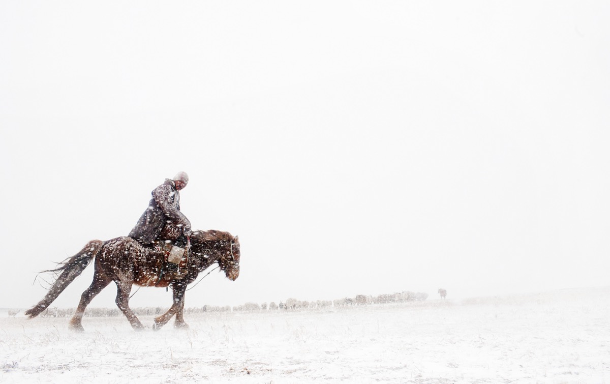 Steppe Nomads, Mongolia