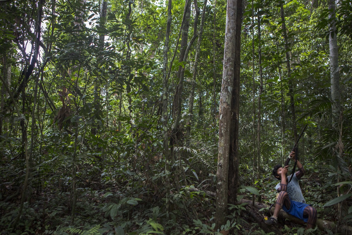 The Xikrin, Brazilian Amazon