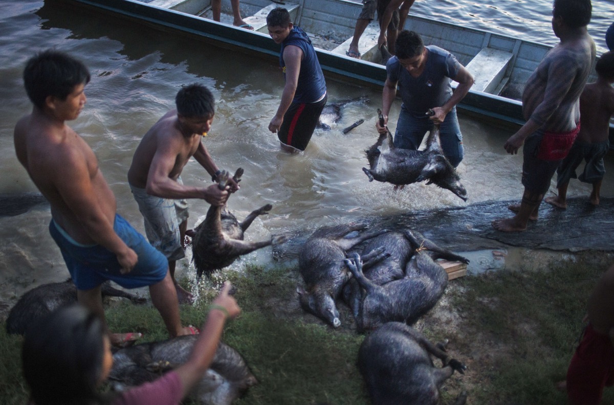 The Xikrin, Brazilian Amazon
